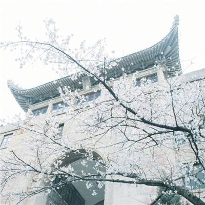 2004年-著名豫剧表演艺术大师常香玉去世